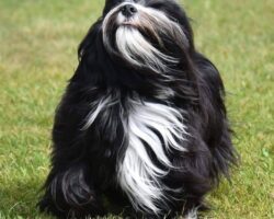 Oppdatert 18.10.2025