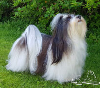 Eier: Lekkerbisken /Frøydis