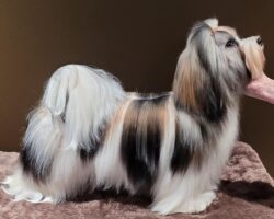 Oppdatert 18.10.2025