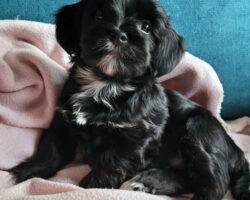 Oppdatert 16.11.2025