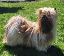 Eier: Christin Duesund