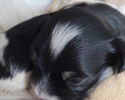 Oppdatert 20.01.2026