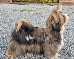 Oppdatert 10.10.2025