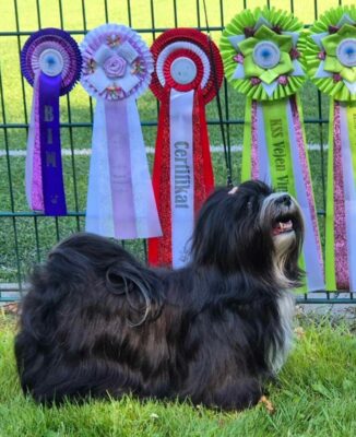 616161277_2680459572331322_3149212094227138679_n