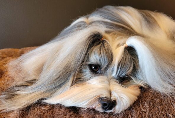 345639182_202531762647030_4043345647208339867_n