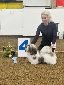 3cf3b9e2-fdd3-4d67-8859-9e6f75d4b4d2