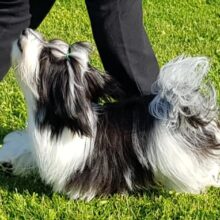 103926557_1179640115746616_7655087421354163127_n