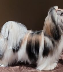 274196316_1622275281483095_5116648367746916949_n