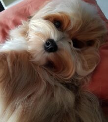 236615672_283277003602203_5258096988514414423_n