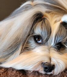 346453431_1171669726816429_9035492725464523574_n