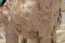 270223340_1583774608666496_314692936895748513_n