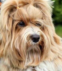 486809050_2414312218946060_8288273266847741330_n