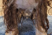 496927986_2460185367692078_3014672265129002192_n