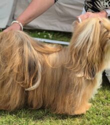 559115277_2591920327851914_2379983405251151372_n