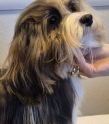 612747529_2673476089696337_1489605663547251863_n (1)