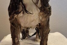 7e3b9727-fe4c-4352-b1f0-6fefb3e097c8