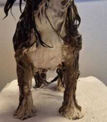 7e3b9727-fe4c-4352-b1f0-6fefb3e097c8