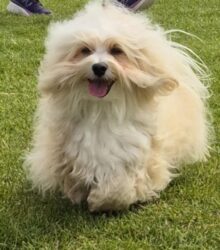 d70bd252-6979-4fde-9eca-56e79a4910e5