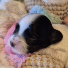 634025963_2706380739739205_5595107051234208380_n