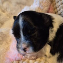 634090471_2706380489739230_1648543879383509696_n