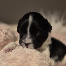 d800b156-6d9d-4a2a-9ced-5fc177a3b1de