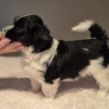 609c7906-3af9-4610-a280-6b0a45e5727f