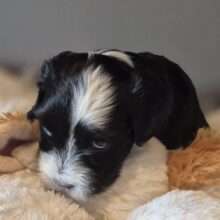 646077249_2723054254738520_20119673347120594_n