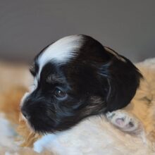 646738900_2725472887829990_3867759036501673584_n