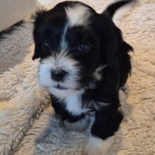 646740077_2725472771163335_2632912778153580126_n