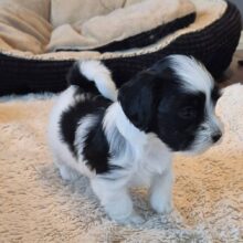 646971242_2725472631163349_7132526239220691610_n