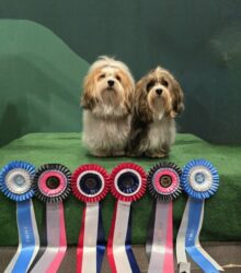 668869053_10164330109771070_3575998166882090527_n