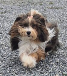 672673426_2760741470969798_5538915357507761512_n